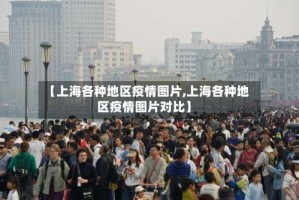 【上海各种地区疫情图片,上海各种地区疫情图片对比】