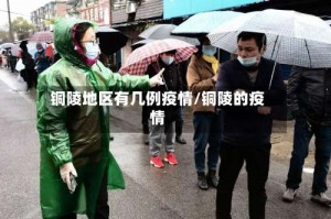 铜陵地区有几例疫情/铜陵的疫情
