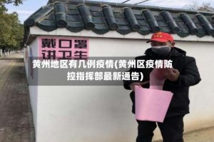 黄州地区有几例疫情(黄州区疫情防控指挥部最新通告)