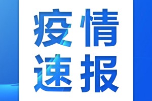 31省份新增确诊22例均为境外输入︰(31省区市新增确诊12例均为境外输入)