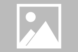 吉林新增,吉林新增本土98 148