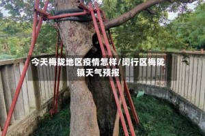 今天梅陇地区疫情怎样/闵行区梅陇镇天气预报