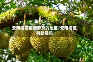 云南榴莲疫情涉及的地区/云南榴莲有新冠吗