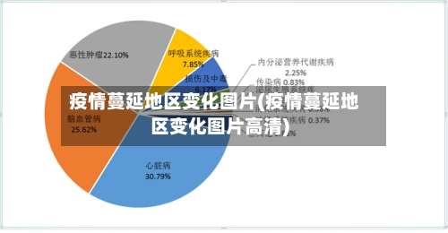 疫情蔓延地区变化图片(疫情蔓延地区变化图片高清)-第3张图片