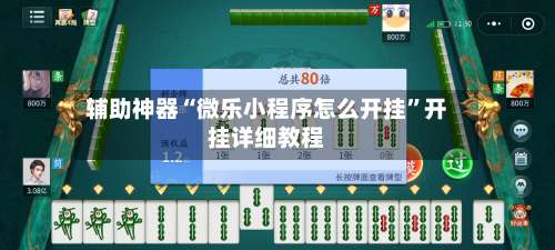 辅助神器“微乐小程序怎么开挂”开挂详细教程-第1张图片