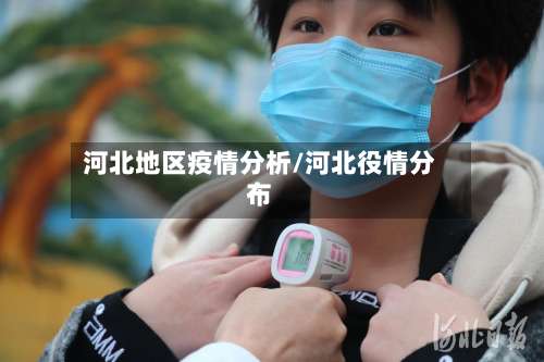河北地区疫情分析/河北役情分布-第2张图片
