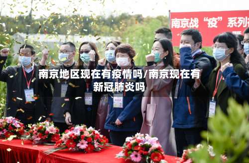 南京地区现在有疫情吗/南京现在有新冠肺炎吗-第2张图片