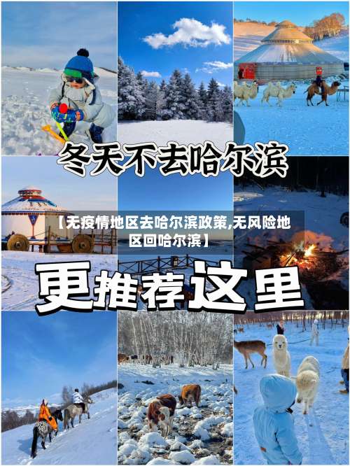 【无疫情地区去哈尔滨政策,无风险地区回哈尔滨】-第1张图片