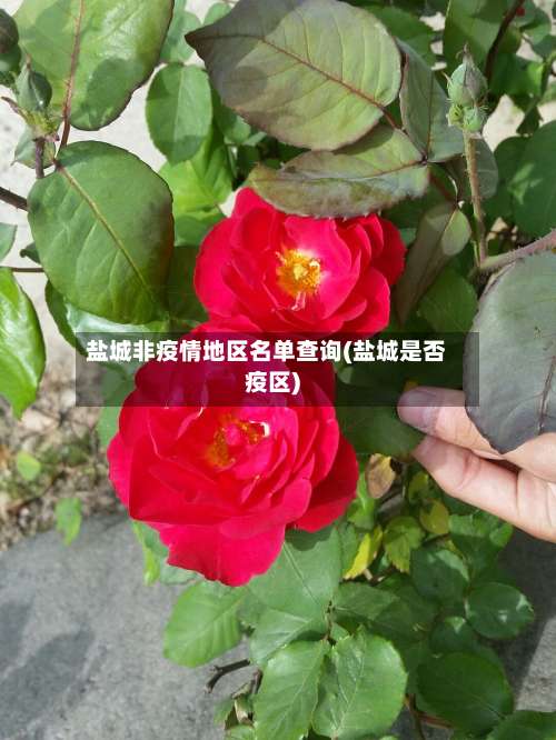 盐城非疫情地区名单查询(盐城是否疫区)-第1张图片