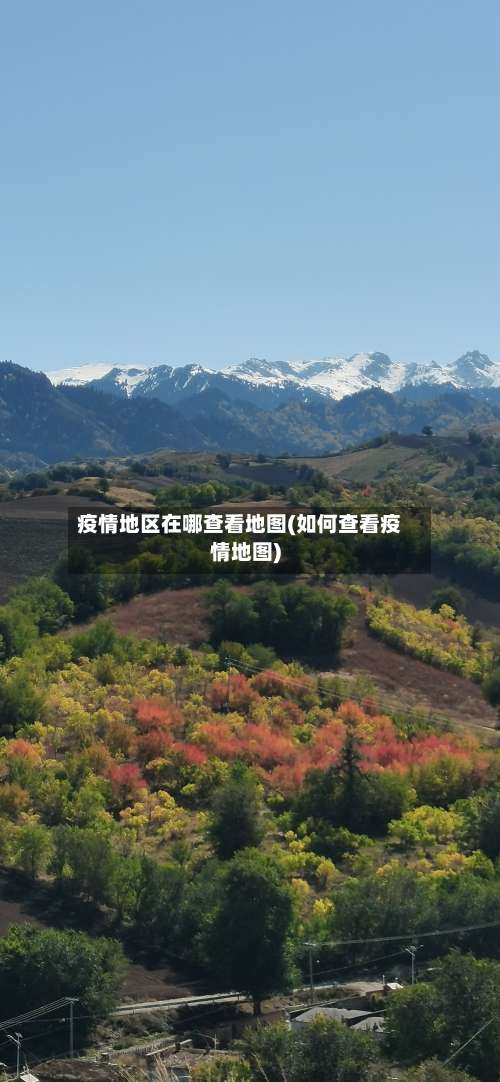 疫情地区在哪查看地图(如何查看疫情地图)-第3张图片