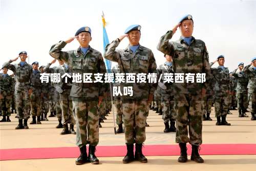 有哪个地区支援莱西疫情/莱西有部队吗-第2张图片