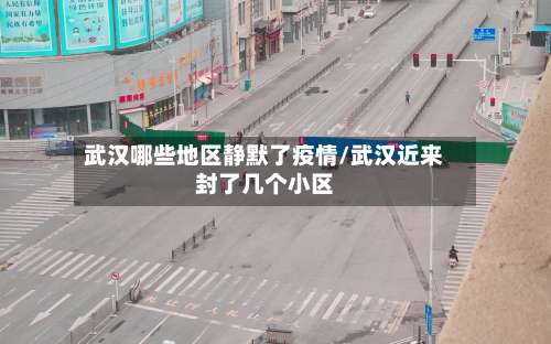 武汉哪些地区静默了疫情/武汉近来封了几个小区-第2张图片