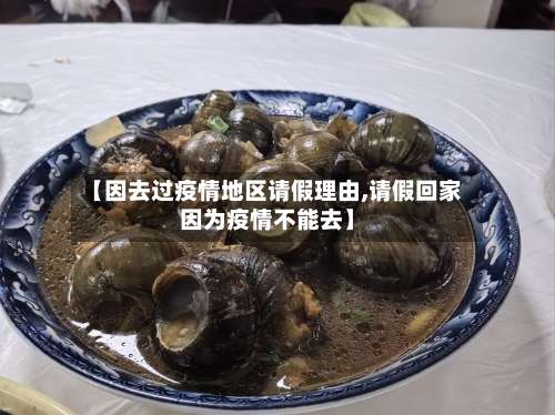 【因去过疫情地区请假理由,请假回家因为疫情不能去】-第2张图片