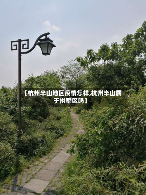 【杭州半山地区疫情怎样,杭州半山属于拱墅区吗】-第3张图片